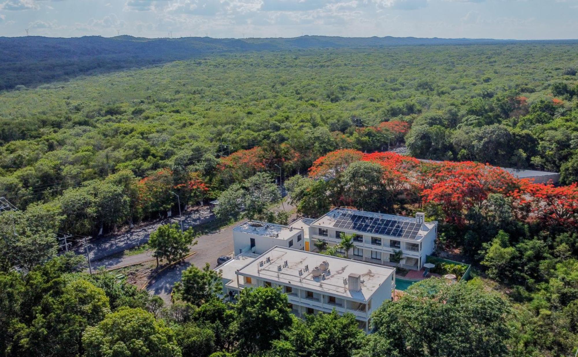 Cielo Y Selva Tekax Hotell Tekax de Alvaro Obregon Exteriör bild